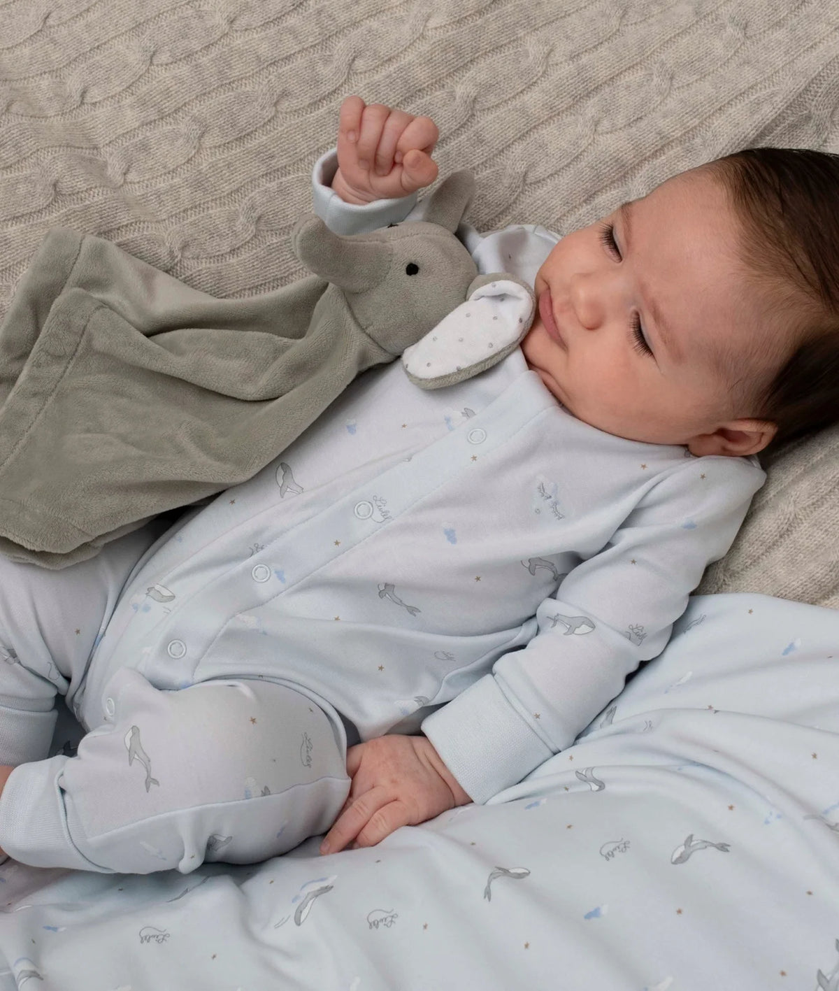 LIVLY WHALES OVERALL