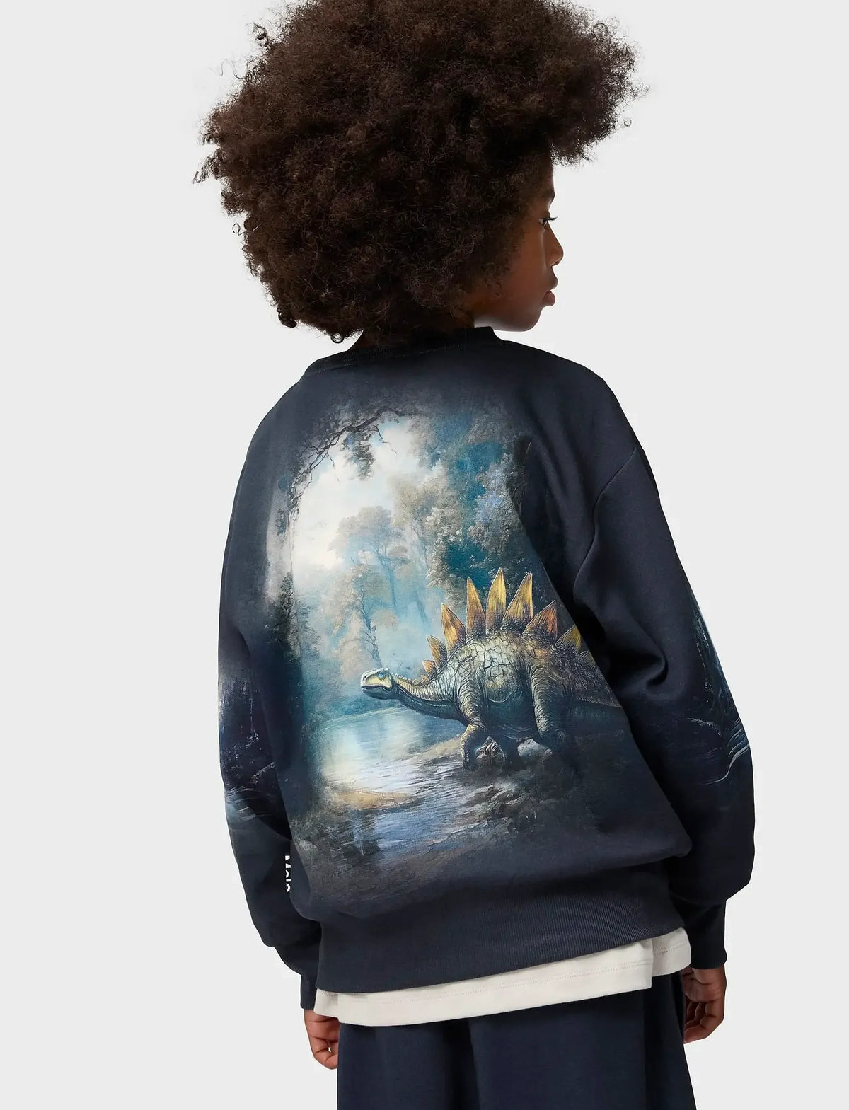 MOLO MATTIS DINOUSAR SWEATSHIRT
