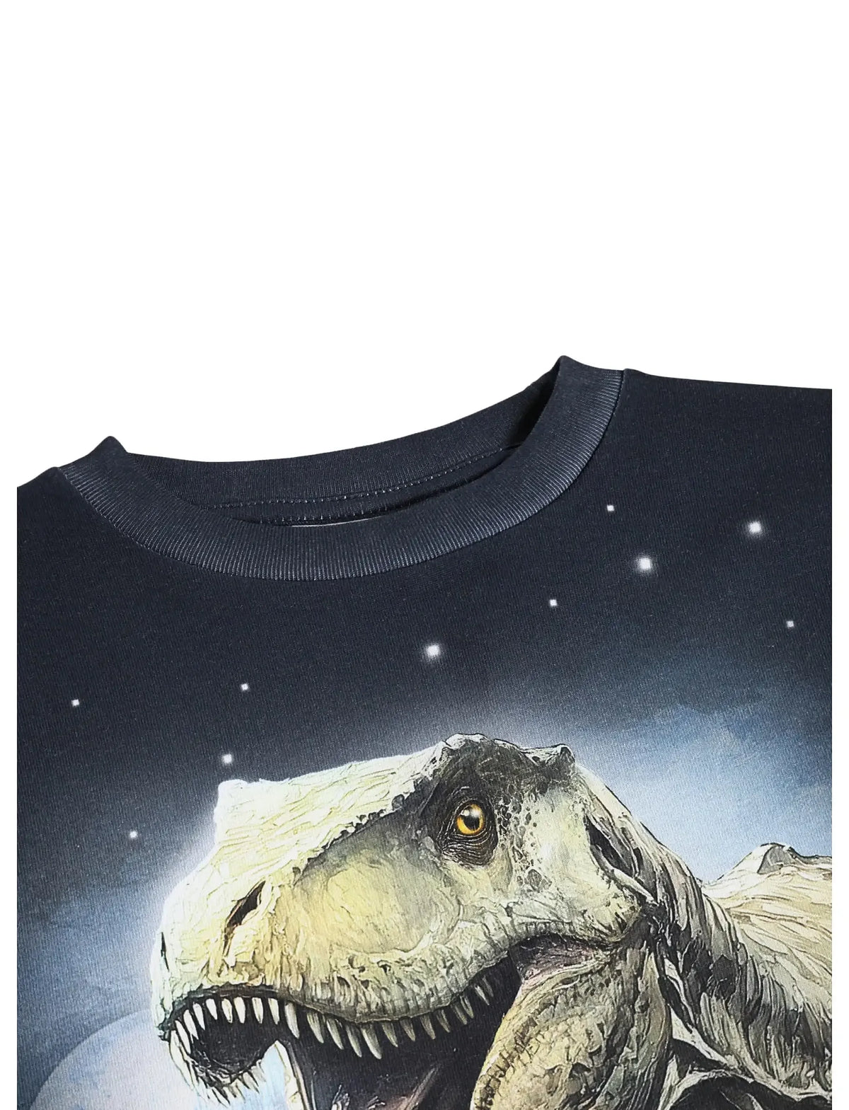 MOLO RUBE DINOUSAR LS T-SHIRT
