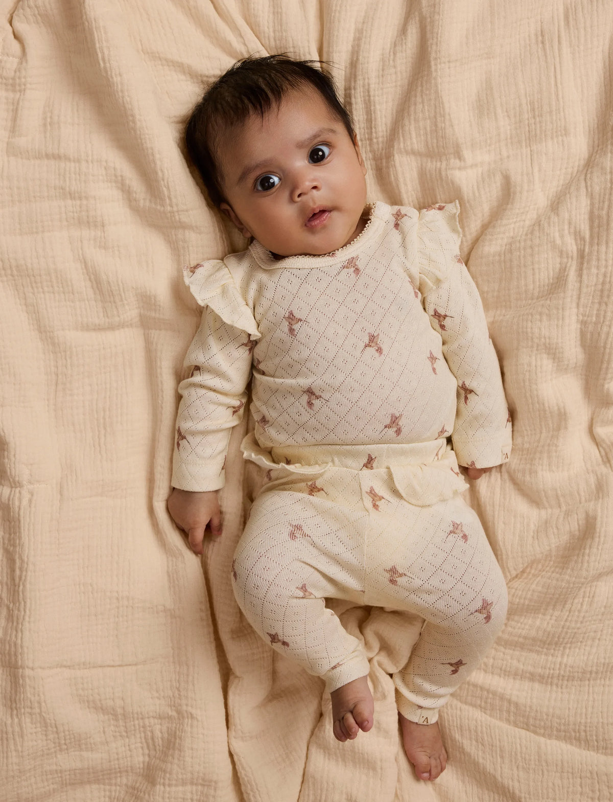 LIL'ATELIER NBFRACHELLO BODY TURTLEDOVE/BIRD