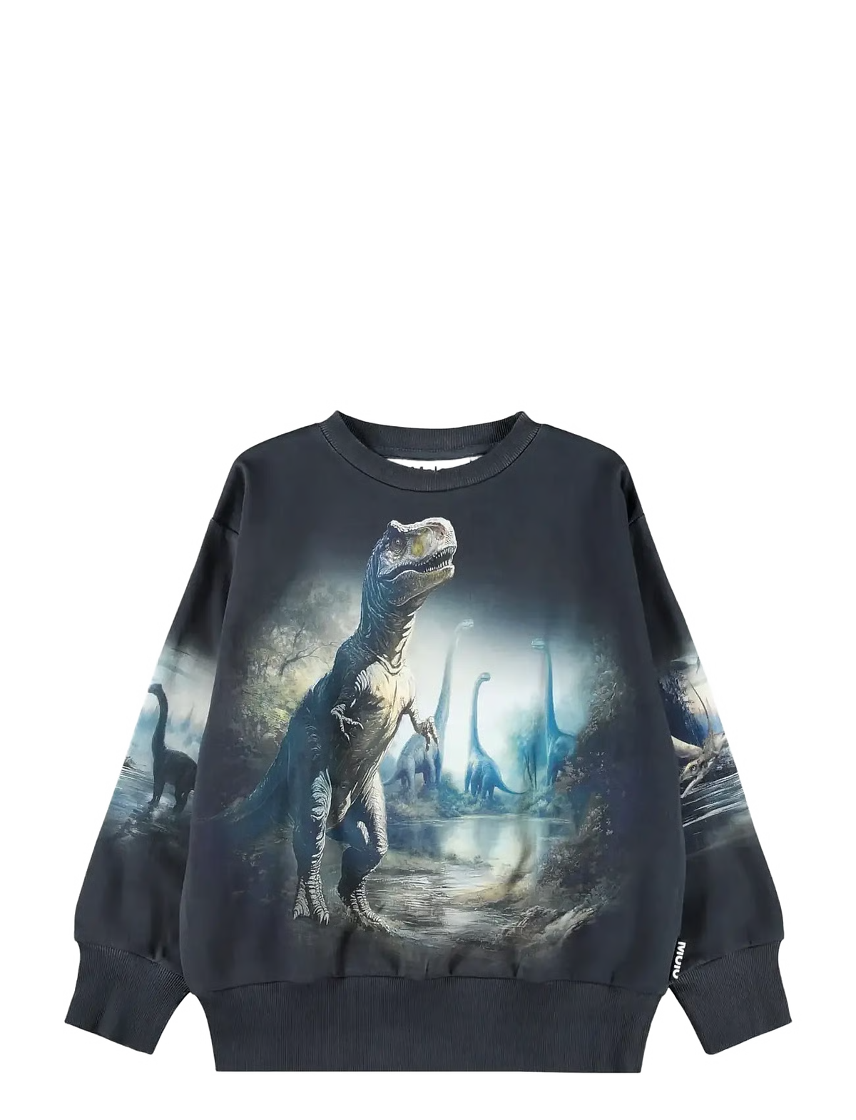 MOLO MATTIS DINOUSAR SWEATSHIRT