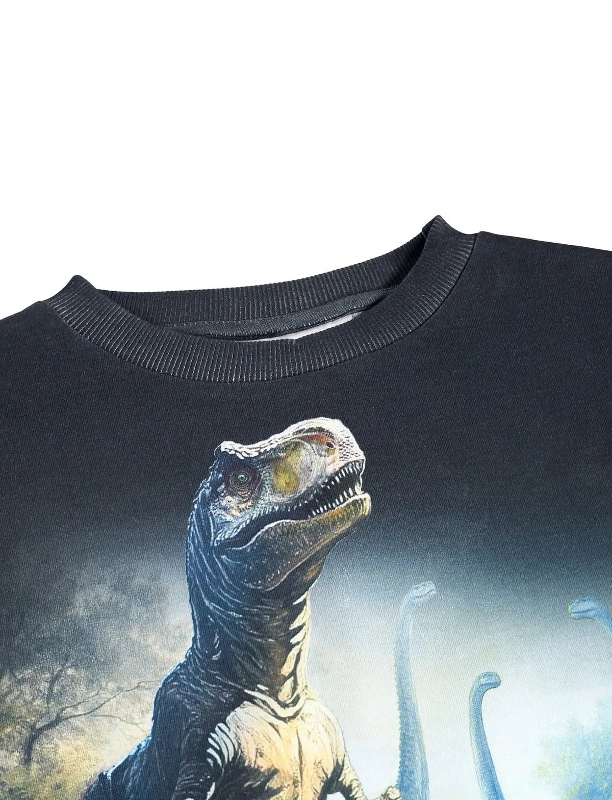 MOLO MATTIS DINOUSAR SWEATSHIRT