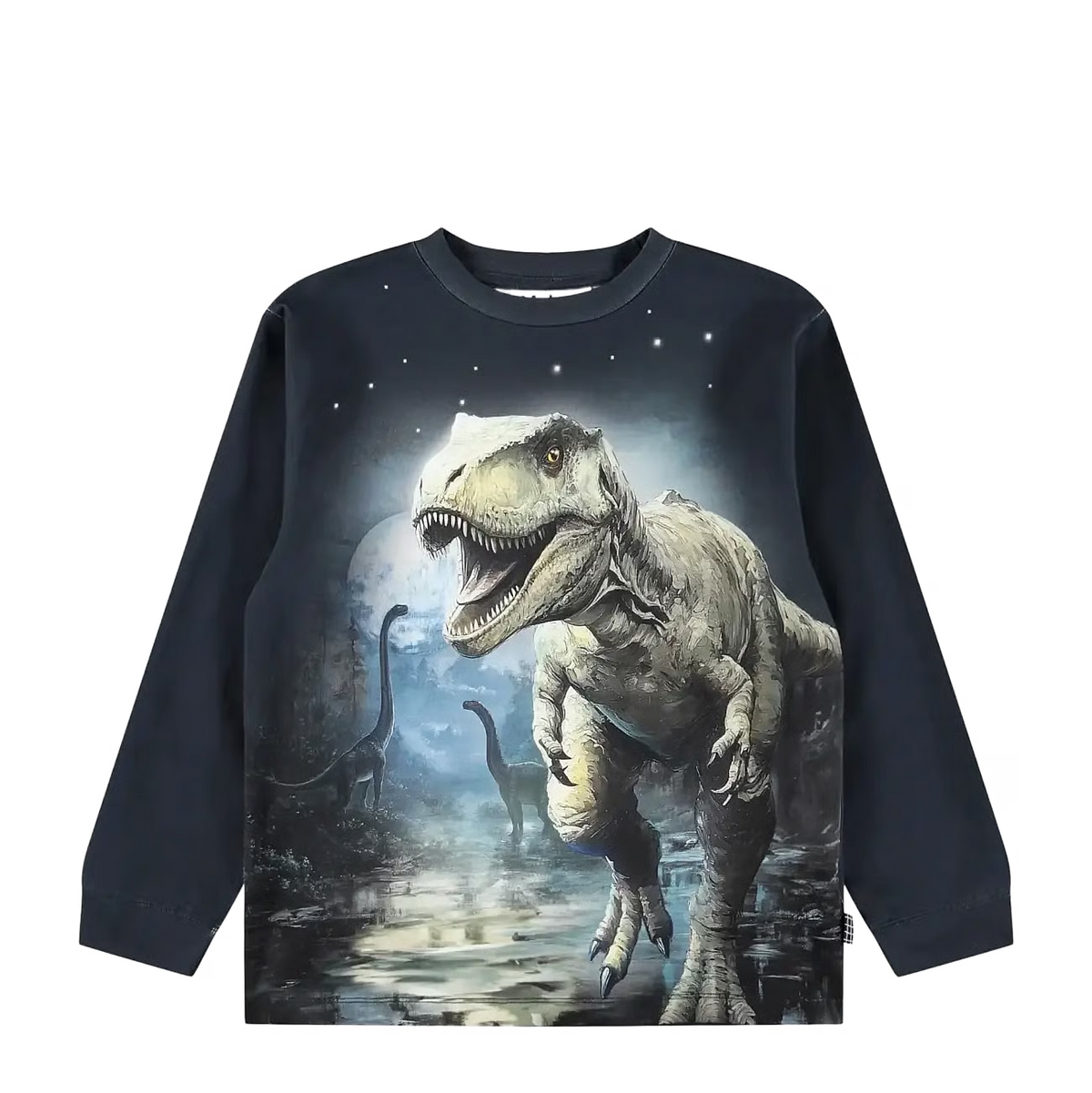 MOLO RUBE DINOUSAR LS T-SHIRT