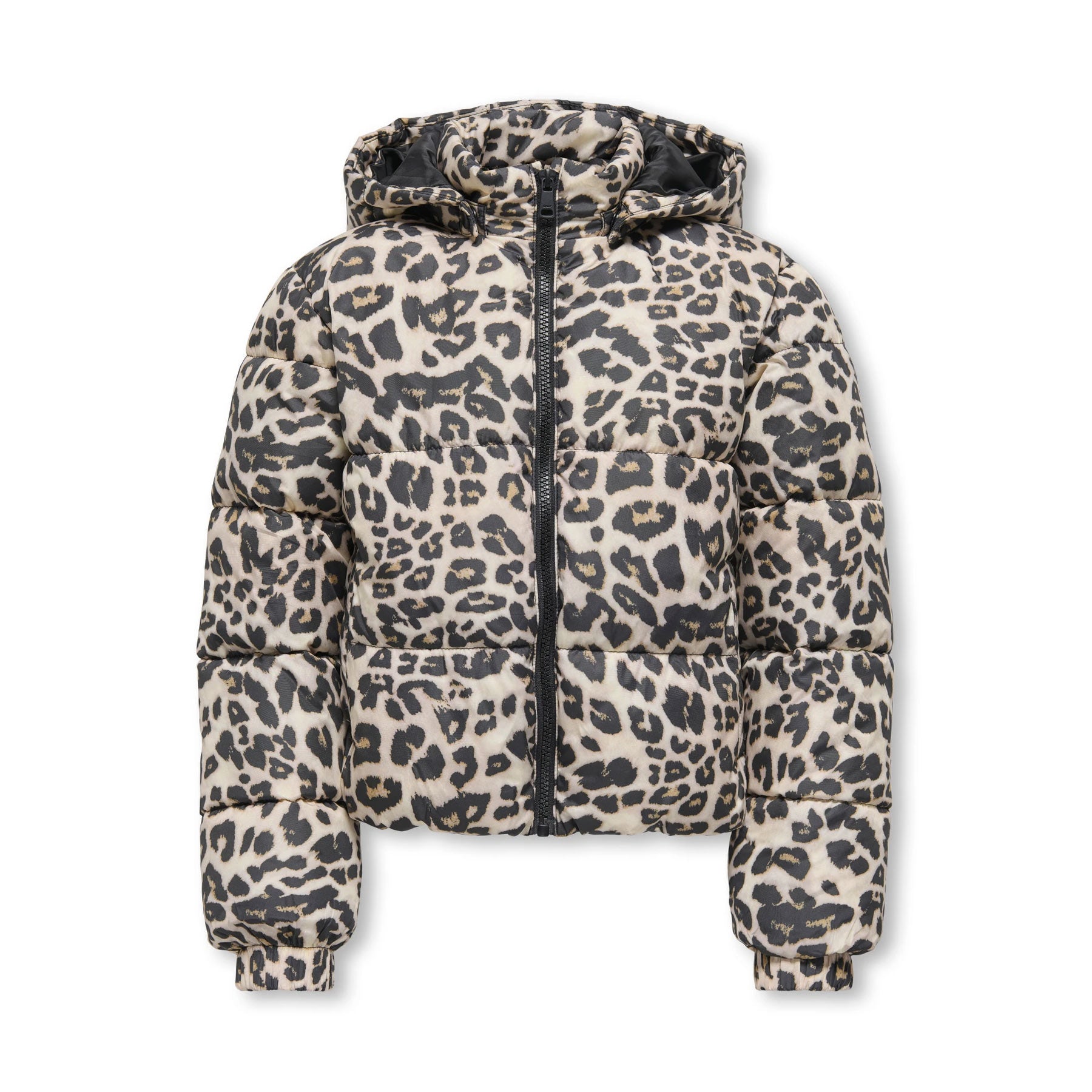 Leopard print puffer jacket on a white background